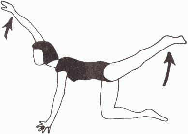 Kneeling and stratching opposite arms and legs